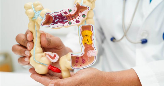 Prebiotika un probiotika - ar ko tās atšķiras?