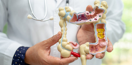 PreImmu iedarbība ar zinātniskām atsaucēm
