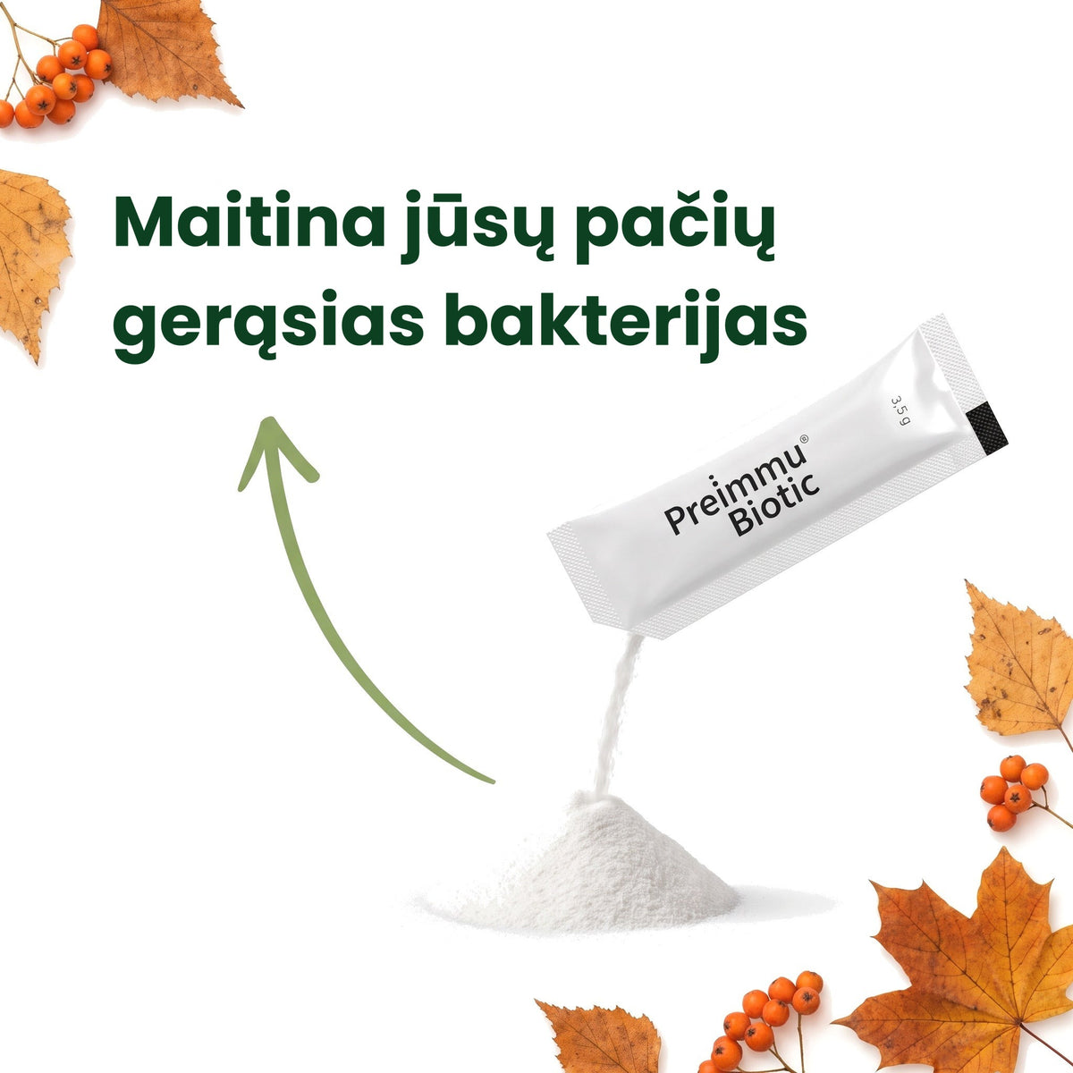 maitina_bakterijas [lt]