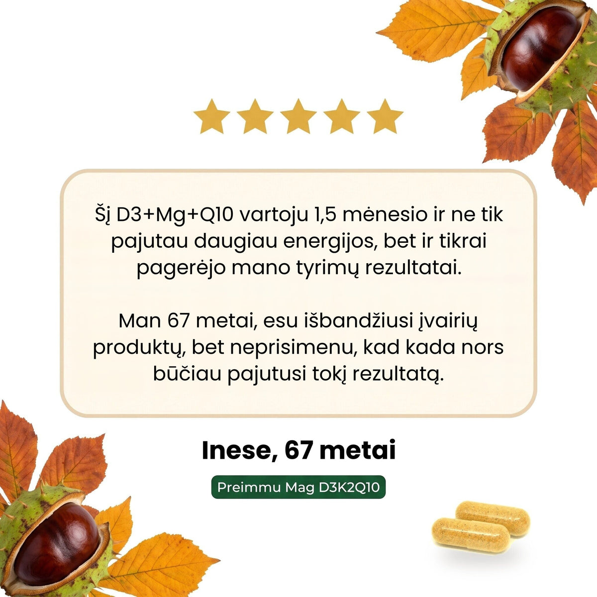 atsiliepimas_inese [lt]