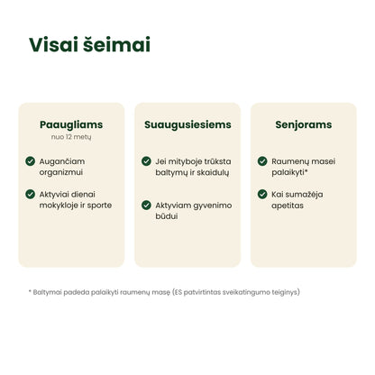 visai_seimai 2 [lt]