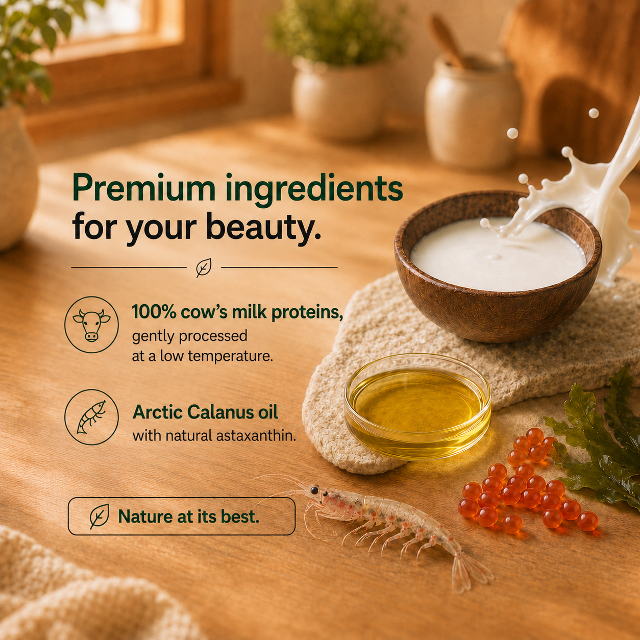 ingredients [en]