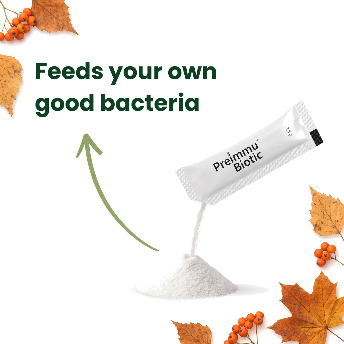 bacteria [en]