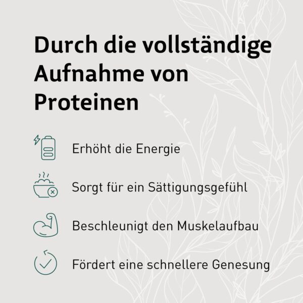 OBVProt | Eiweißmittel + Ballaststoffe – Bild 2
