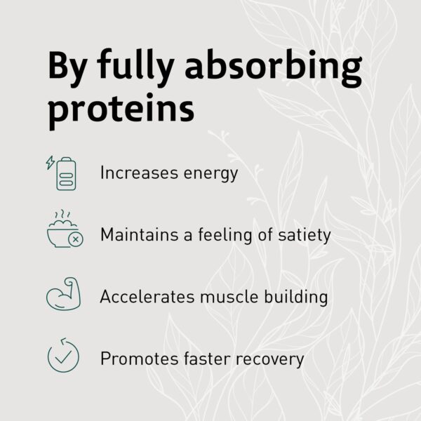 OBVProt | Protein + prebiotic - Image 2