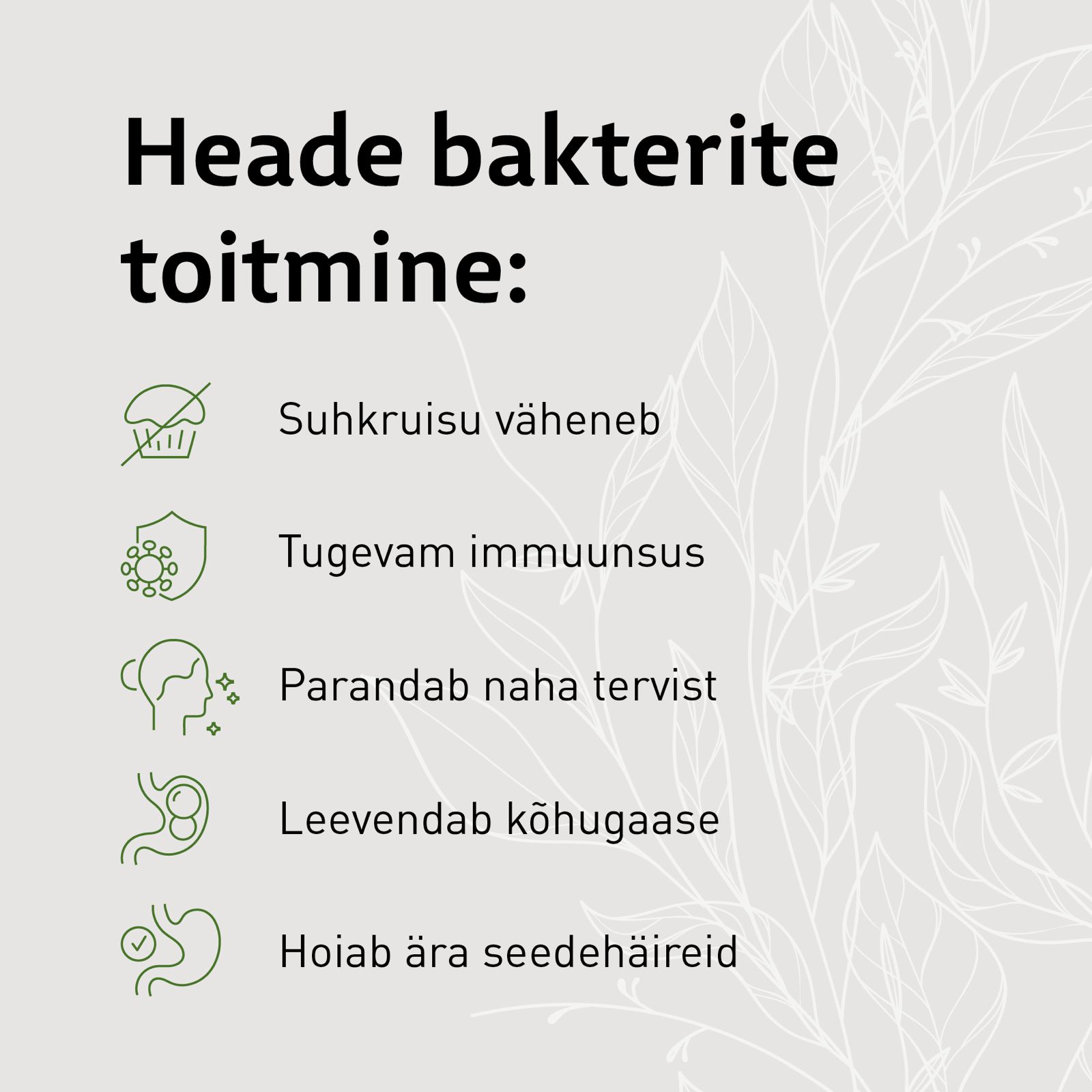 Biotic| Prebiootilised kiudained - Image 2